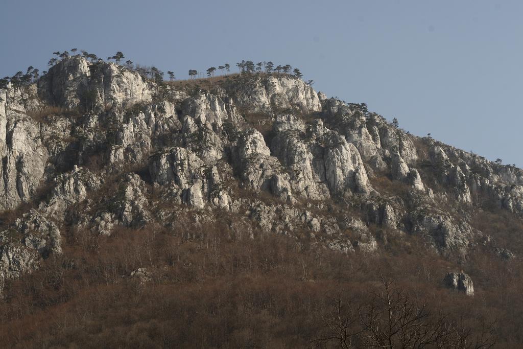 Pensiunea Floare De Colt Ξενοδοχείο Băile Herculane Εξωτερικό φωτογραφία