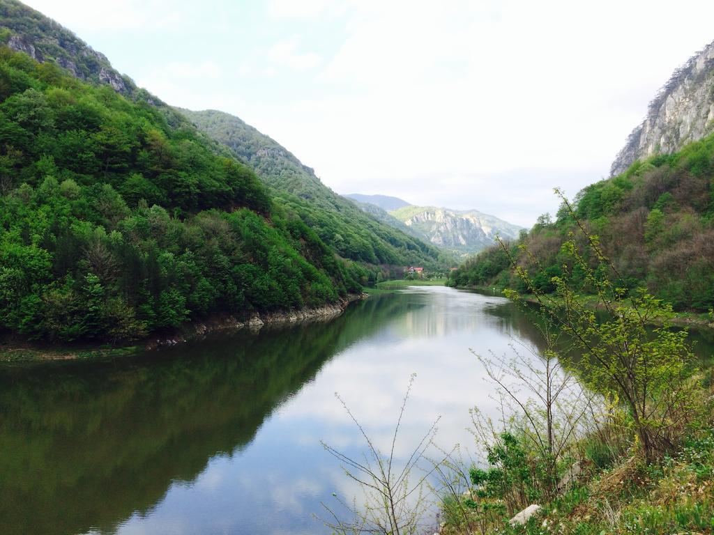 Pensiunea Floare De Colt Ξενοδοχείο Băile Herculane Εξωτερικό φωτογραφία
