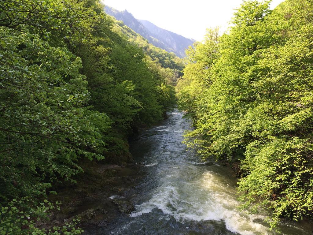 Pensiunea Floare De Colt Ξενοδοχείο Băile Herculane Εξωτερικό φωτογραφία