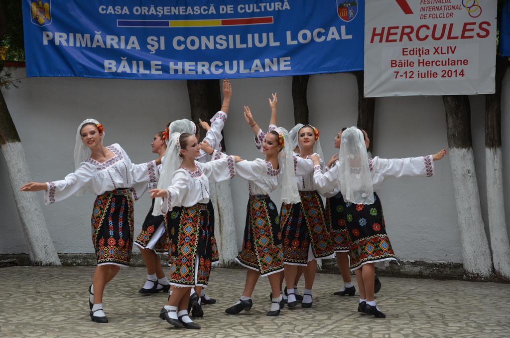 Pensiunea Floare De Colt Ξενοδοχείο Băile Herculane Εξωτερικό φωτογραφία